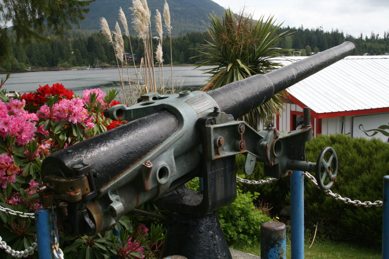 Long Rifle aiming into the harbor