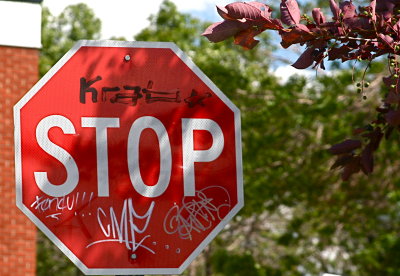 The Stop Sign
