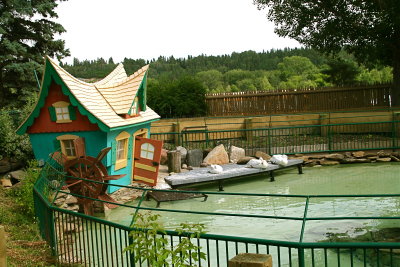 Pelicans soaking up the sun beside the fairy book house as you walk in to the zoo.
