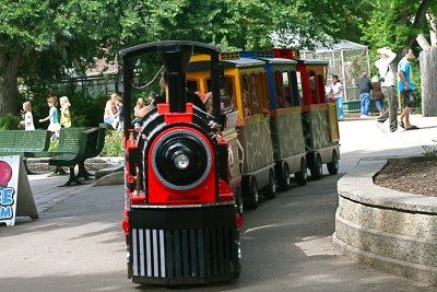 Zoo train