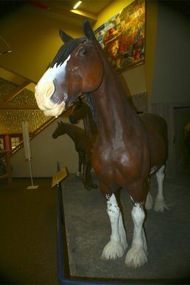 Horse tribute at the town hall.