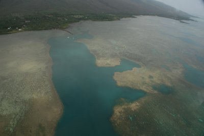 Amazing Corel Reefs