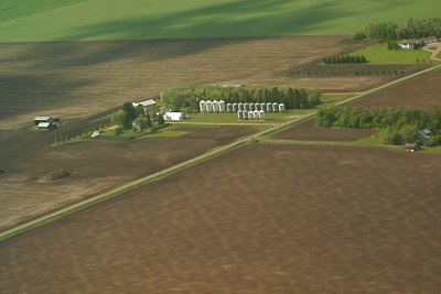 Springtime on the farm