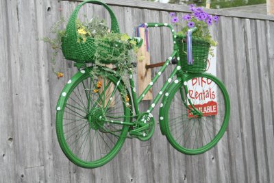 The Polka Dot Bike