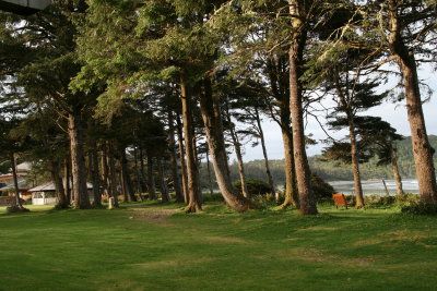 View of the grounds in front of our unit at Pacific Sands Resort