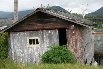 Old  abandoned garage with a million dollar harbor view