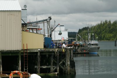 Fish processing plant in the harbor....