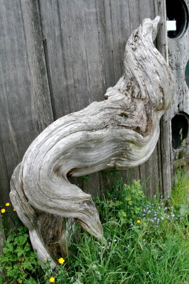 Driftwood sculpture