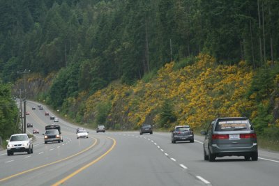 Driving the Malahat