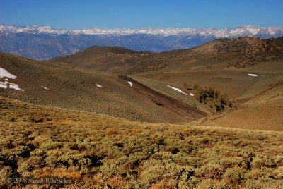 Pretty Valley... Distant Peaks