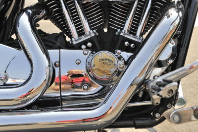 LivetoRide and Shoot.jpg