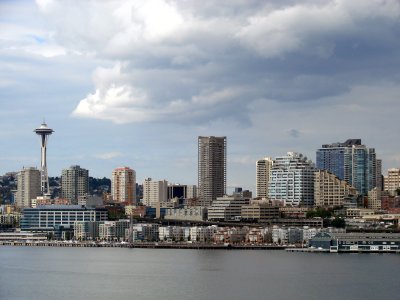 Mushrooming Buildings, 2007