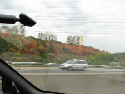 IMG_1152.JPG