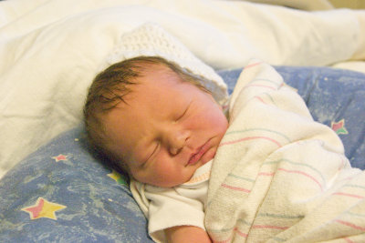 Carden - One Day Old