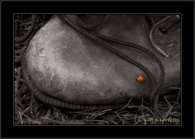 Combat Boot With Ladybug