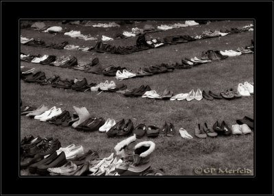 Field Of Shoes