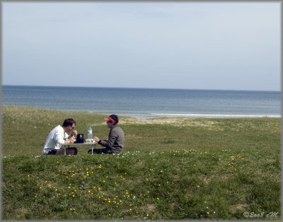 picnic on the dune