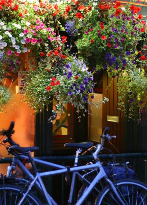 Bicycle Bar