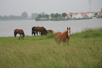 Vlandern_0270.JPG