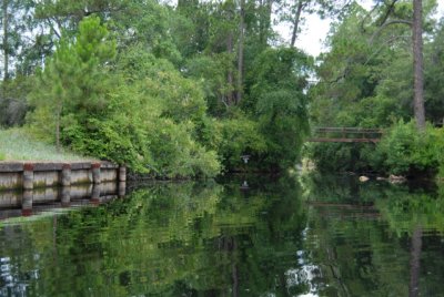 Trip to the Okefenokee Swamp
