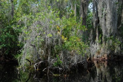 DSC_0855.JPG