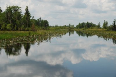 DSC_0882.JPG