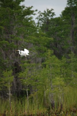 DSC_0885.JPG