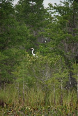 DSC_0887.JPG