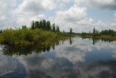 DSC_0890.JPG