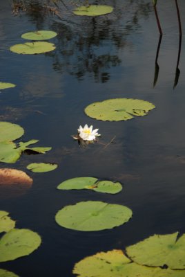 DSC_0893.JPG