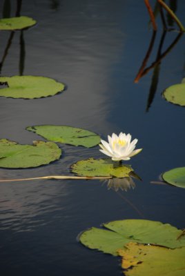 DSC_0894.JPG