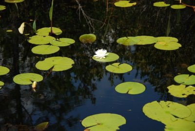 DSC_0896.JPG