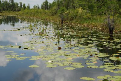 DSC_0897.JPG