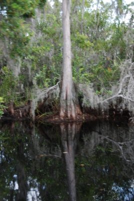 DSC_0965.JPG