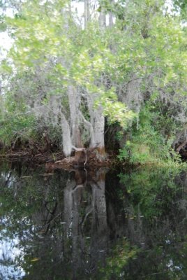 DSC_0966.JPG