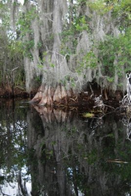DSC_0969.JPG