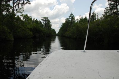 DSC_0972.JPG