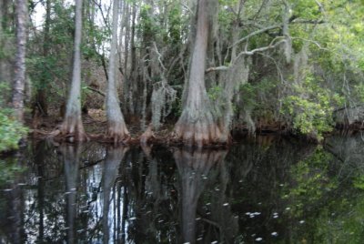 DSC_0989.JPG