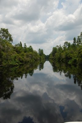 DSC_0998.JPG