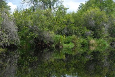 DSC_1000.JPG