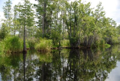 DSC_1003.JPG