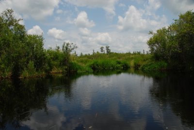 DSC_1004.JPG