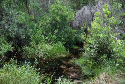 DSC_1027.JPG
