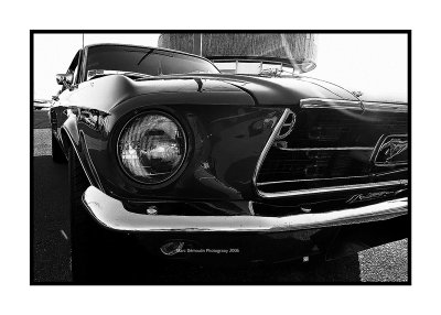 Ford Mustang, Antibes
