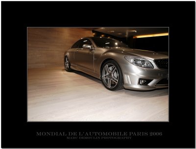Mondial de l'Automobile Paris 2006 -12