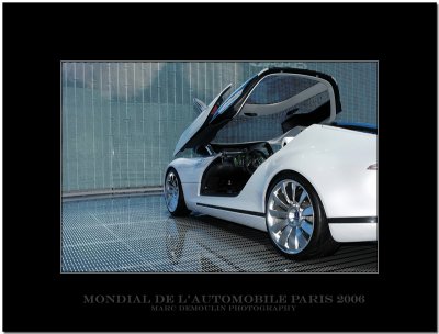 Mondial de l'Automobile Paris 2006 -16