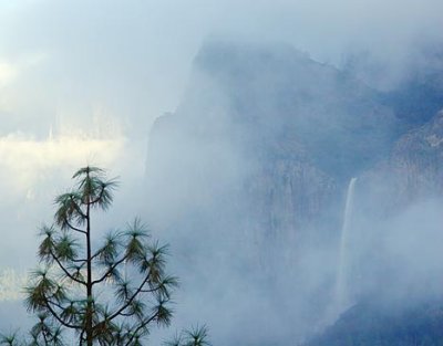 Foggy Yosemite Valley 22864