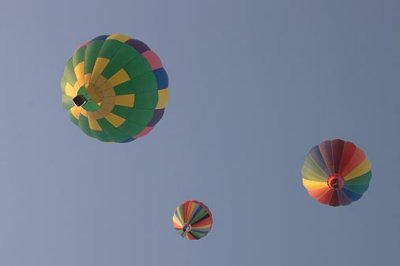 Polo Balloon Festival 26228