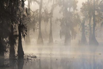 Lake Martin In Foggy Sunrise 26202