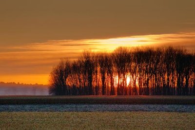 Sunrise Behind Trees 10573